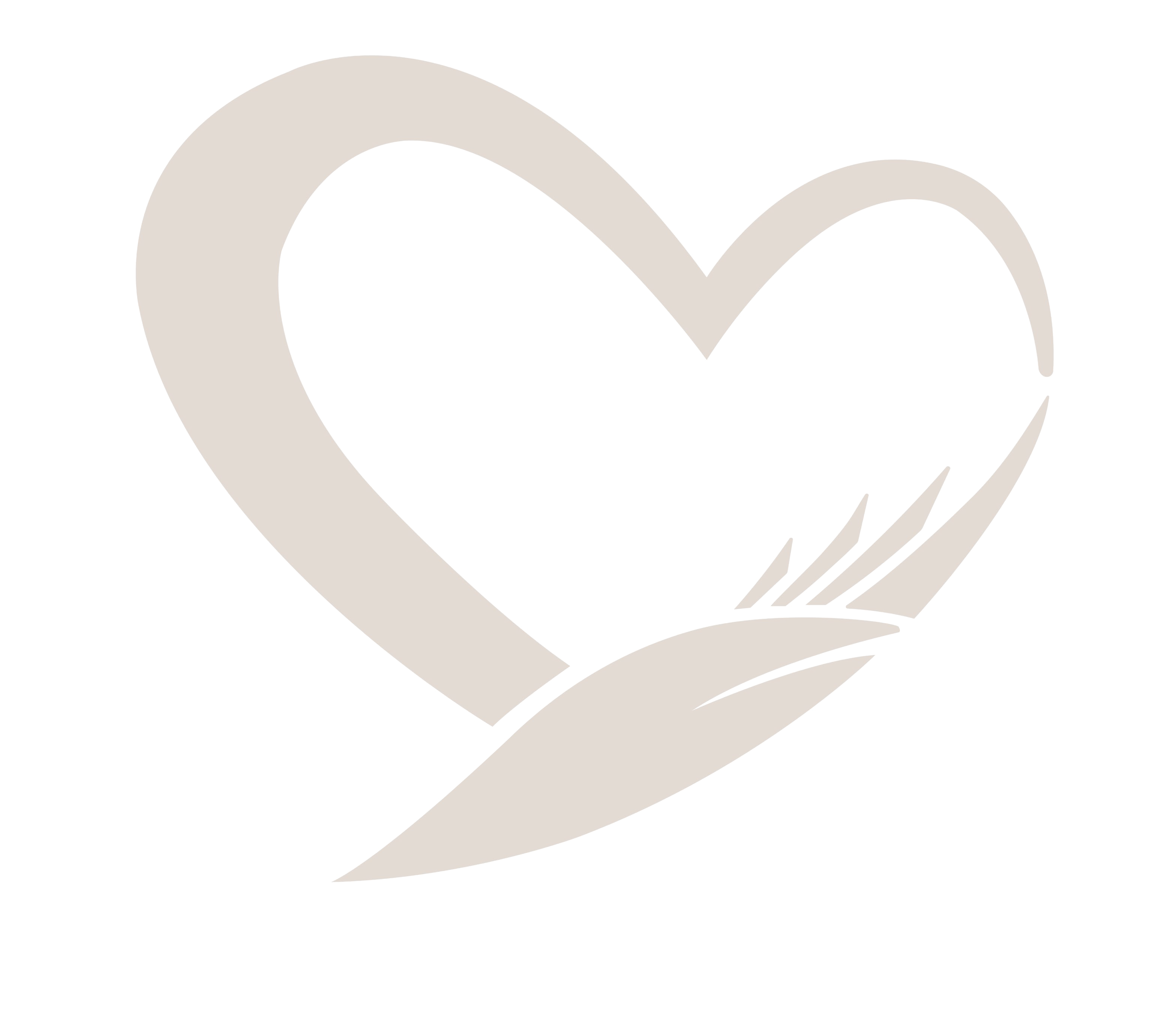 د. زينب عبدالرحمن الحسن